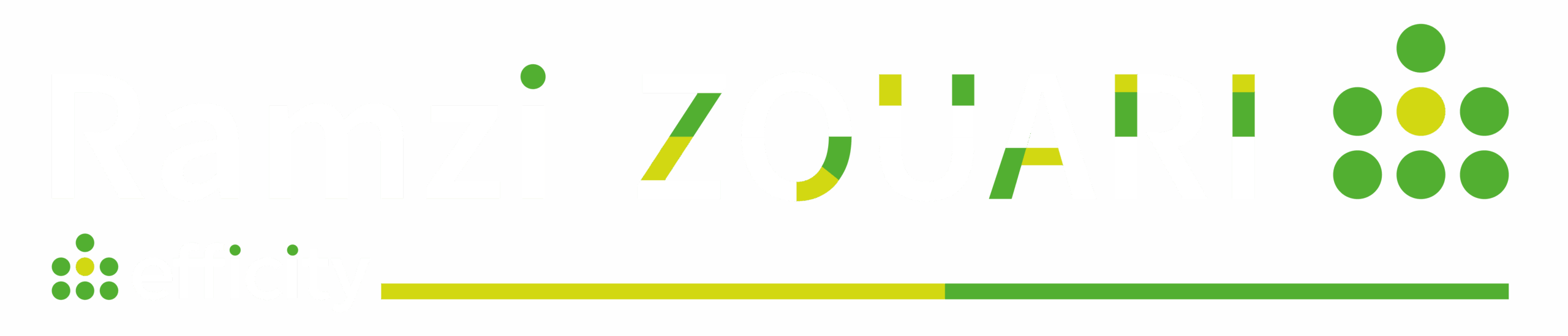 Ramzi-z-logo-22