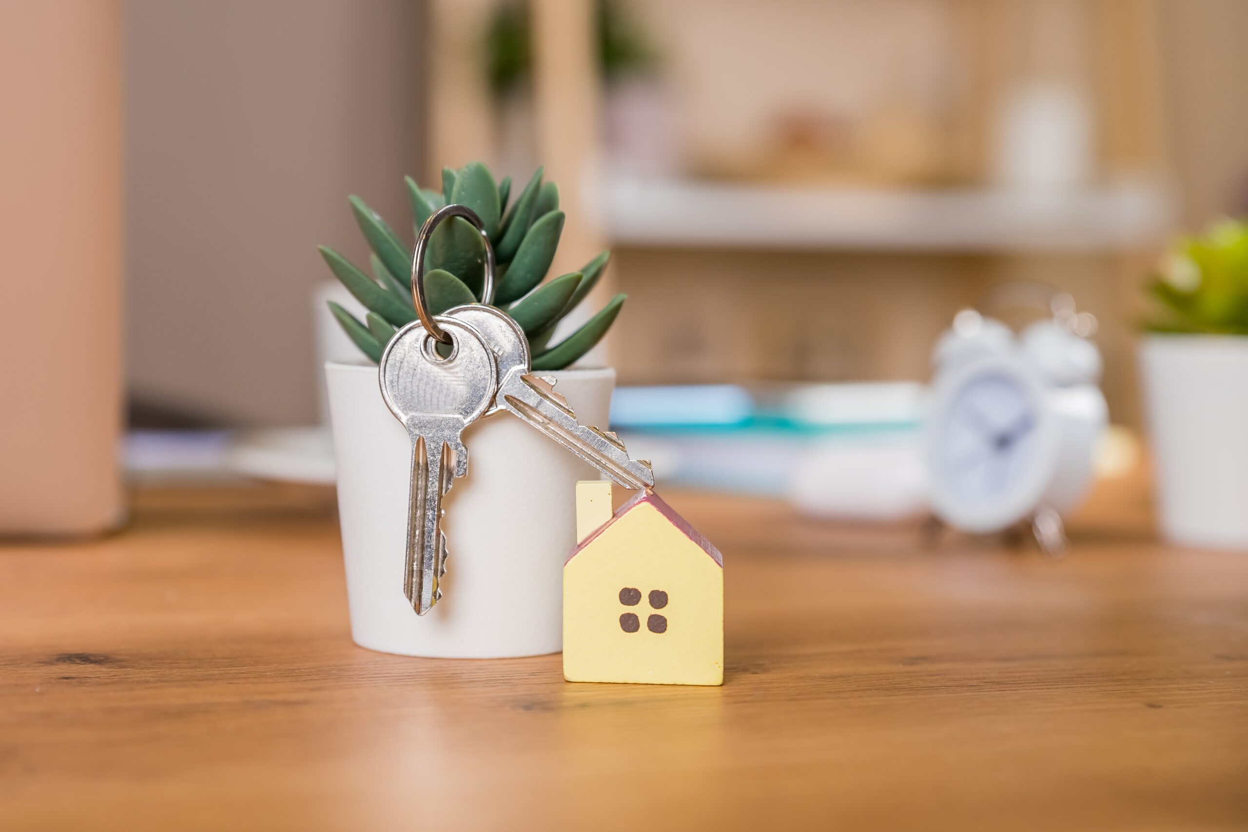 key-and-house-shaped-keychain-arrangement-on-blurr-2025-02-09-22-47-11-utc